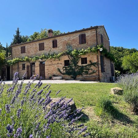 L'Infinito Bed & Breakfast Mombaroccio Luaran gambar