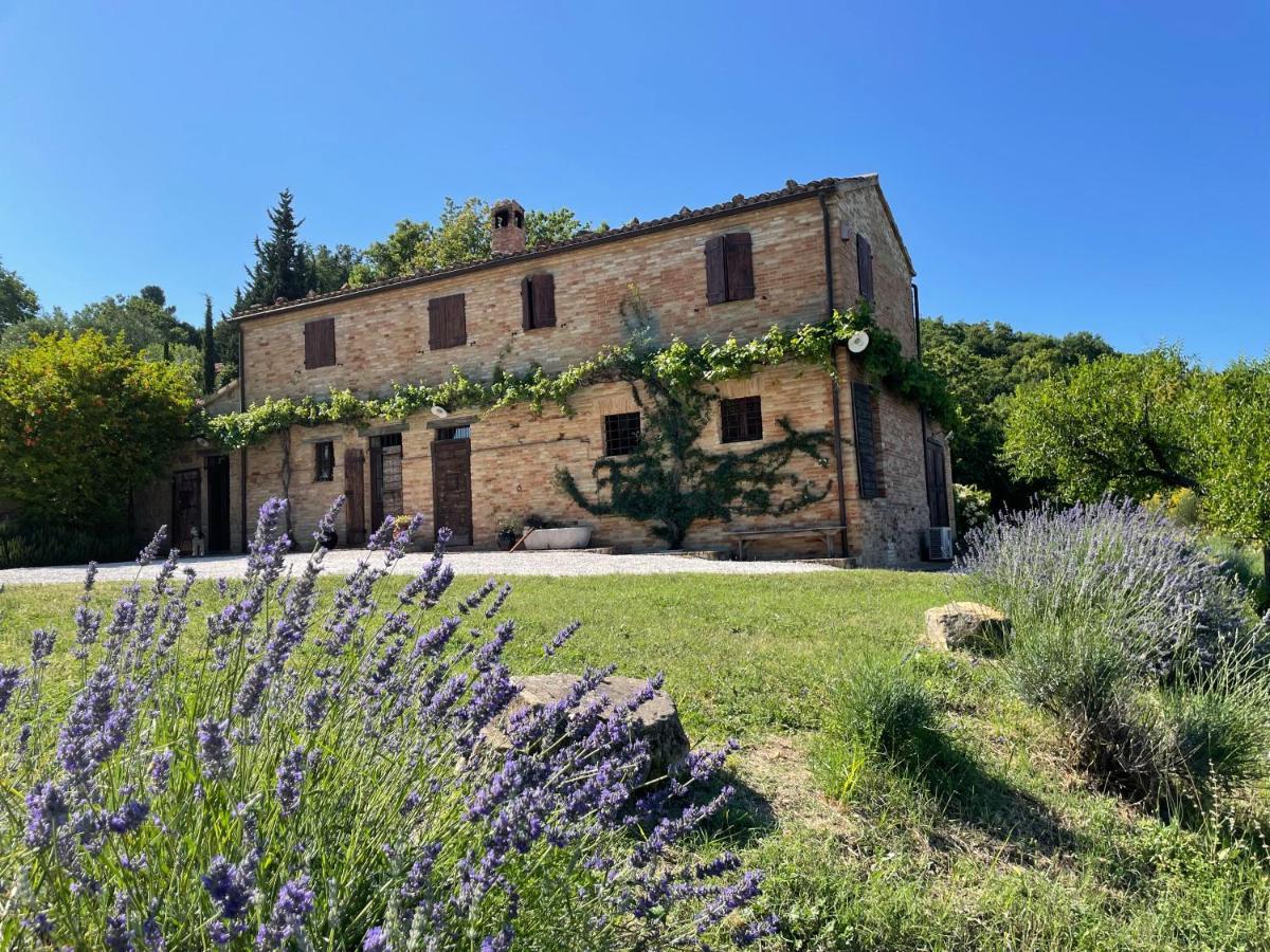 L'Infinito Bed & Breakfast Mombaroccio Luaran gambar