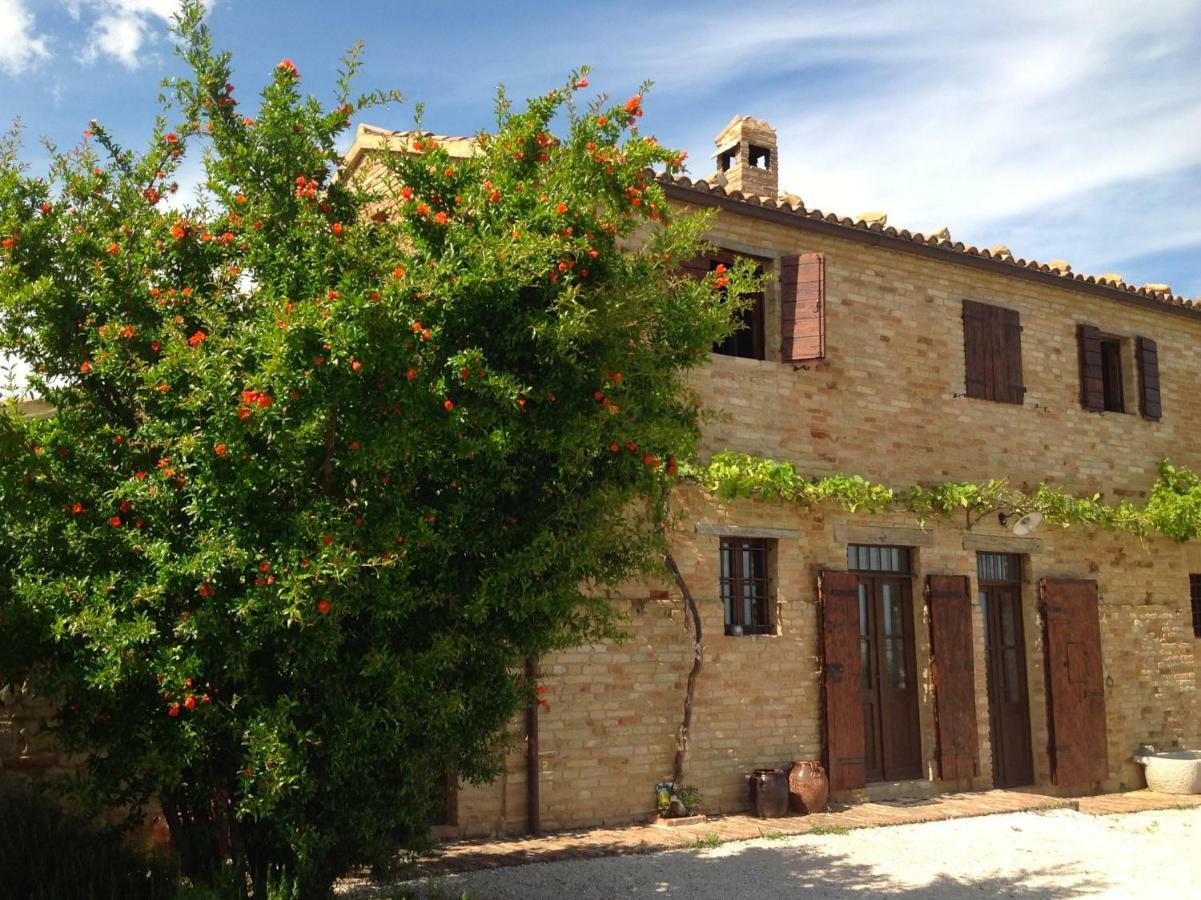 L'Infinito Bed & Breakfast Mombaroccio Luaran gambar