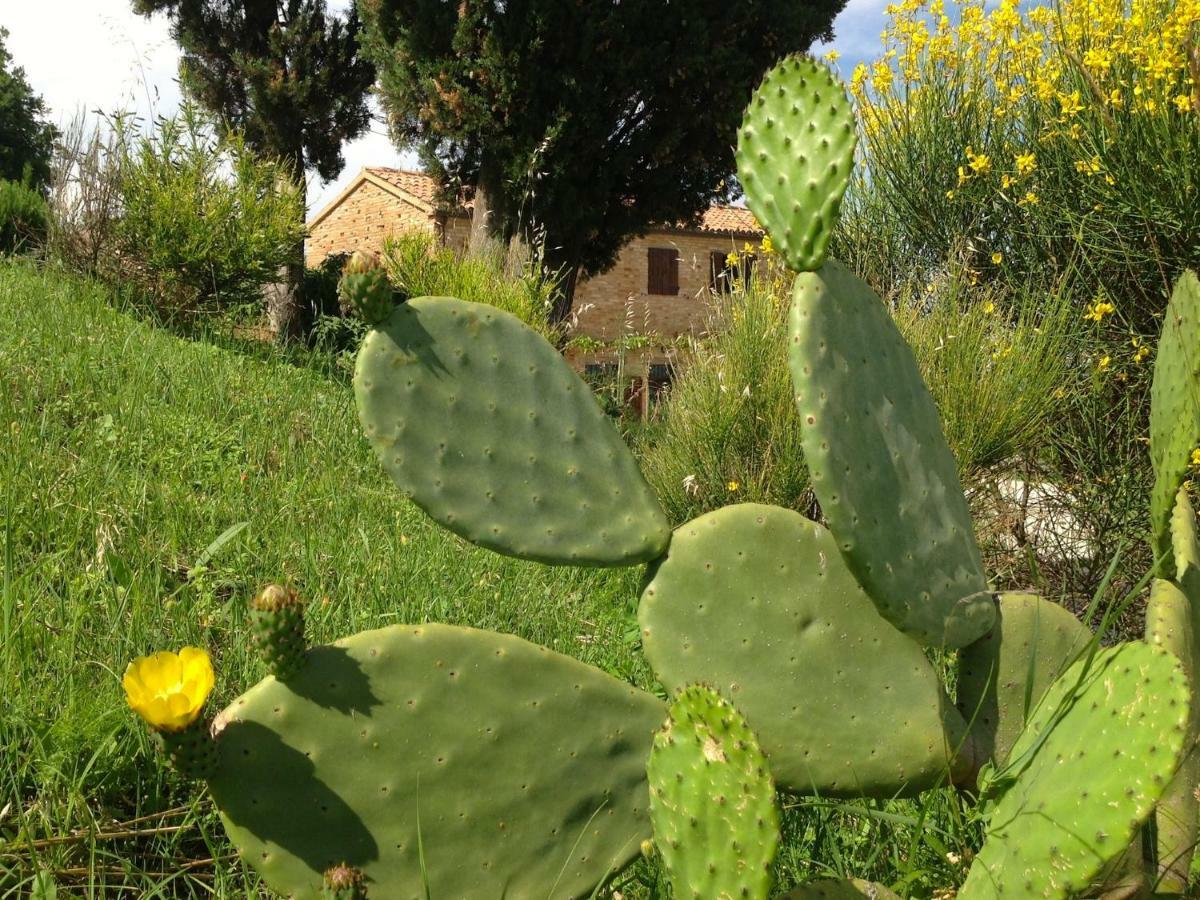 L'Infinito Bed & Breakfast Mombaroccio Luaran gambar